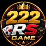 222RS Game